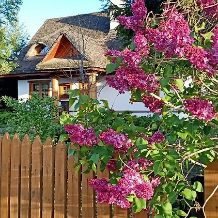 Bialowieski Dworek Do 10 Gosci Białowieża Exterior foto
